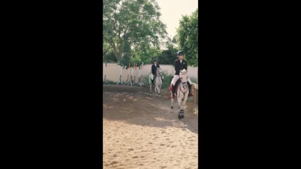 Vidéo Verticale Jeune Cavalier Faisant Jogging Cheval Dans Une École — Video