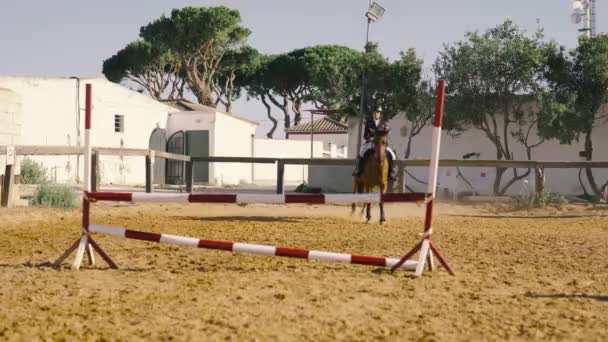 Vídeo Uma Jovem Mulher Equipamento Equestre Salta Sobre Obstáculo Com — Vídeo de Stock