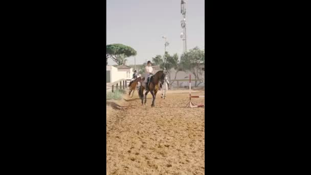 Video Verticale Giovane Cavaliere Che Dressage Con Suo Cavallo Filmati — Video Stock