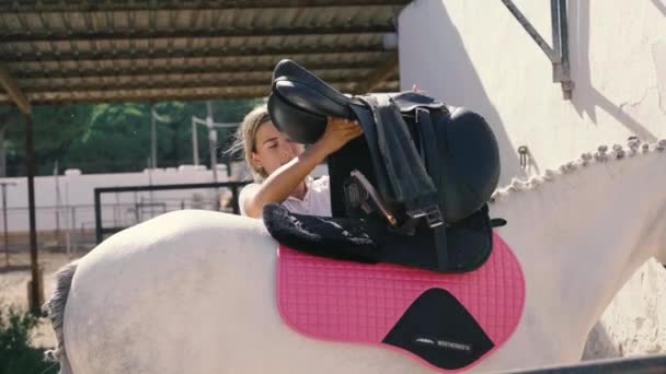 Βίντεο Έναν Έφηβο Βάζει Μια Ροζ Κουβέρτα Ένα Λευκό Άλογο — Αρχείο Βίντεο