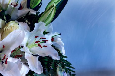 Beyaz zambaklar mavi arka planda krema gülleri ve buketlerle. Kartpostal, arkaplan.