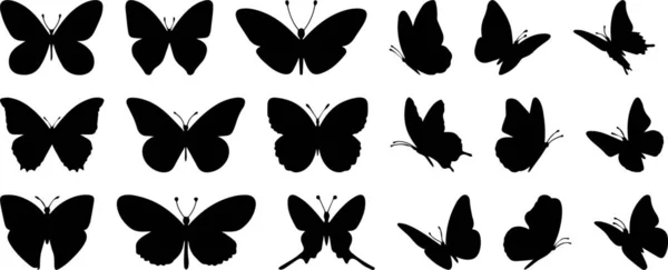Zestaw Czarnych Sylwetek Motyli Ikona Motyla Logo — Wektor stockowy