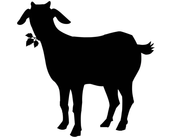 Çimen Yiyen Keçi Silueti Yerden Yapraklar Logo Keçi Etiketi — Stok Vektör