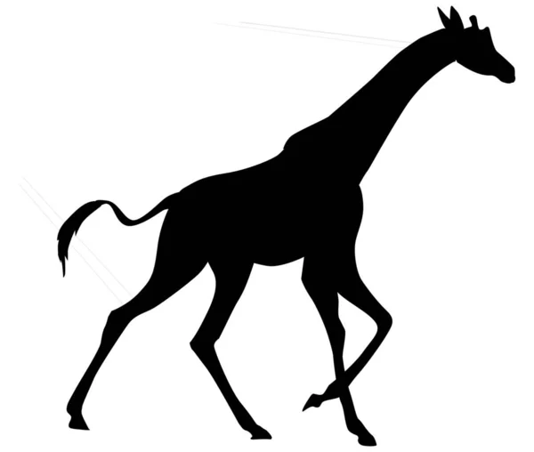 Wektorowa Ilustracja Biegnącej Czarnej Sylwetki Żyrafy Odizolowany Białym Tle Ikona — Wektor stockowy