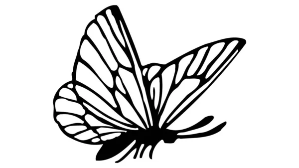 Černý Motýl Izolovaný Bílém Pozadí Motýlí Omalovánky Lineární Kresba — Stockový vektor