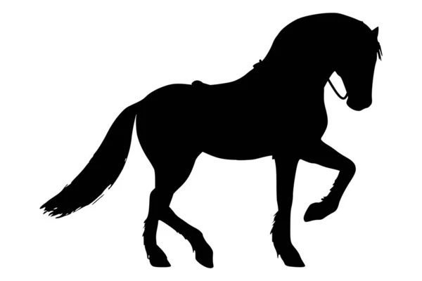 Silhouette Noire Cheval Sur Fond Blanc Courant — Image vectorielle