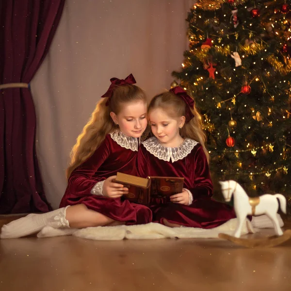 Meninas bonitos em roupas de Natal estão lendo um livro no fundo de uma árvore de natal — Fotografia de Stock