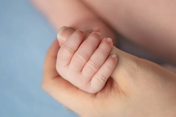 Mãe e bebê recém-nascido bebê segurando sua mão mães — Fotografia de Stock