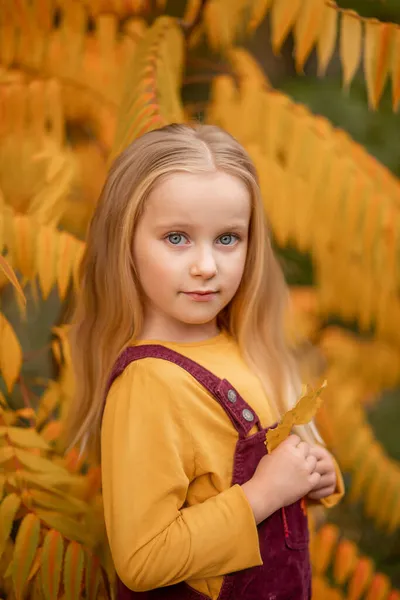 Retrato de otoño de una niña — Foto de Stock