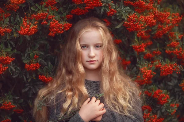 Retrato de otoño de una joven hermosa — Foto de Stock