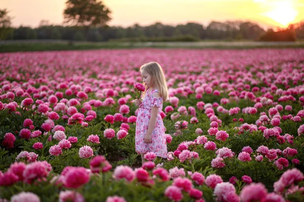 Mała piękna dziewczyna w polu piwonii na tle zachodu słońca — Zdjęcie stockowe
