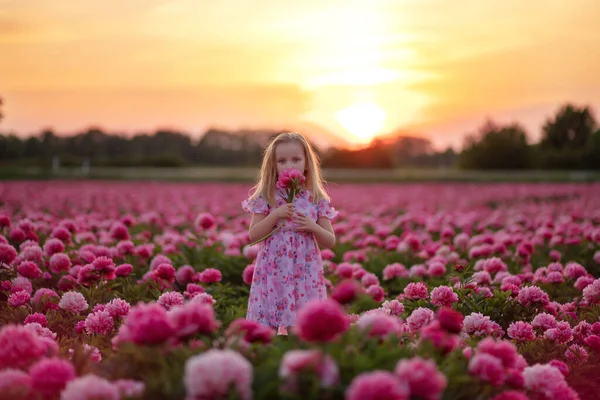 Klein mooi meisje in een pioenenveld op zonsondergang achtergrond — Stockfoto
