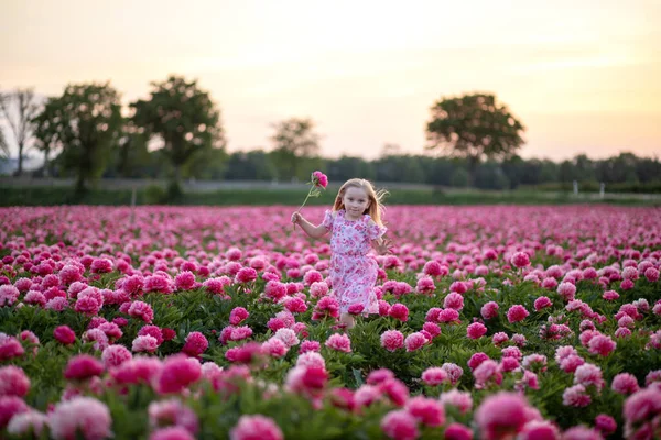 Petite belle fille dans un champ de pivoine sur fond de coucher de soleil — Photo