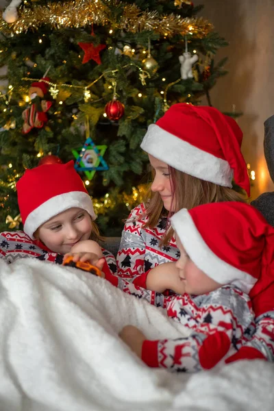 Three children have fun on the background of the Christmas tree. children are dressed in New Years pajamas and santa hats — Fotografia de Stock