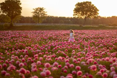 cute little girl running on a peony field against a sunset background