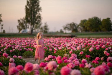 cute little girl running on a peony field against a sunset background