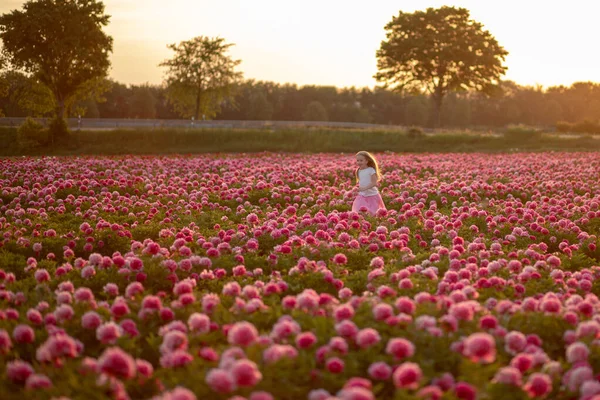 cute little girl running on a peony field against a sunset background