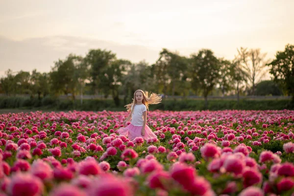 cute little girl running on a peony field against a sunset background