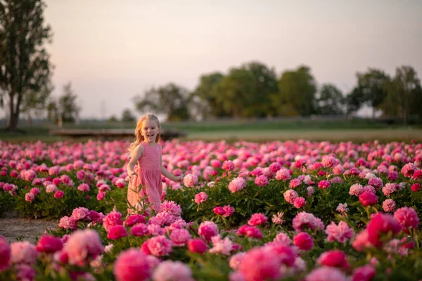cute little girl running on a peony field against a sunset background