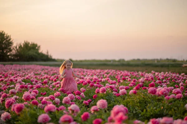 cute little girl running on a peony field against a sunset background