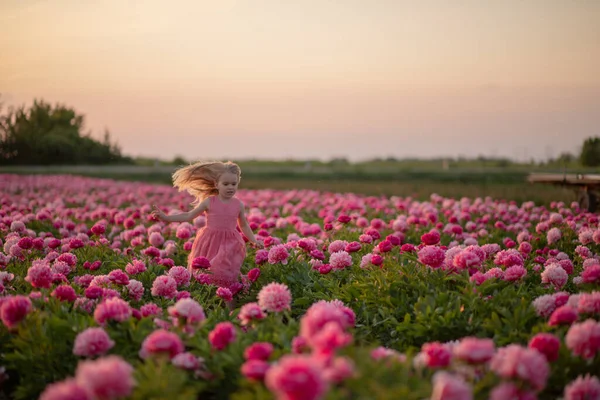Linda niña corriendo en un campo de peonía contra un fondo de puesta de sol — Foto de Stock