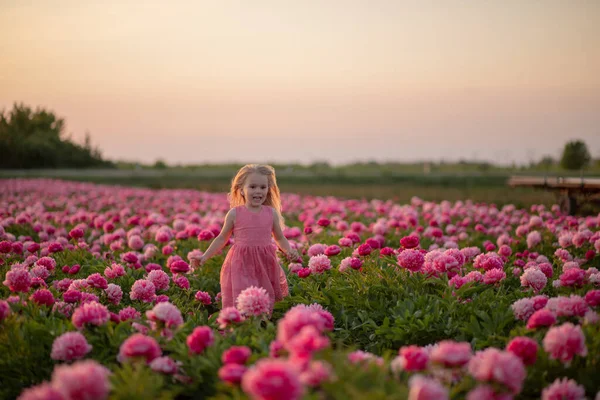 Cute little girl running on a peony field against a sunset background — Stockfoto