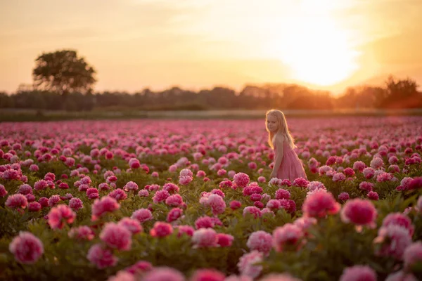 cute little girl running on a peony field against a sunset background