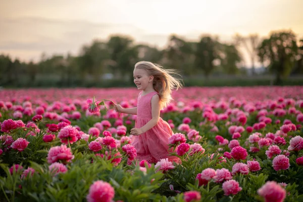Cute little girl running on a peony field against a sunset background — Foto Stock