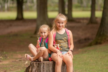 two sisters are sitting on a tree stump on a summer day.