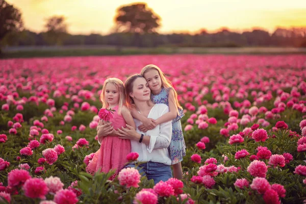Mother Two Daughters Background Peony Field Family Sunset Background — Zdjęcie stockowe