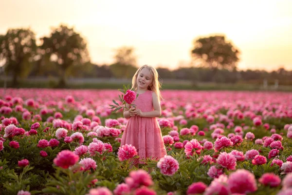 Klein mooi meisje in een pioenenveld op zonsondergang achtergrond — Stockfoto