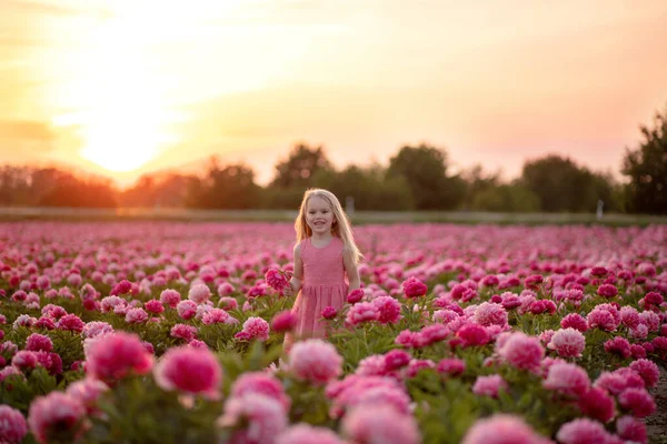 Klein mooi meisje in een pioenenveld op zonsondergang achtergrond — Stockfoto