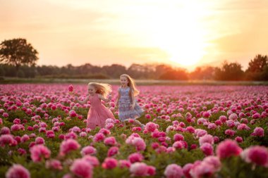 İki kız kardeş günbatımının arka planında şakayık tarlasında koşar.