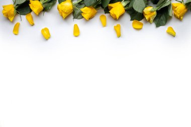 Beyaz arka planda sarı güller. metin için yer.