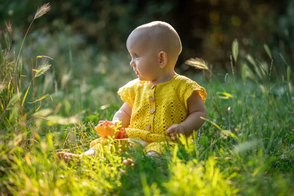 Little Cute Happy Baby Girl Sitting Green Grass Sunny Summer — Zdjęcie stockowe