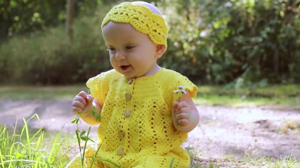 Little Cute Happy Baby Girl Sitting Green Grass Sunny Summer — Stock video