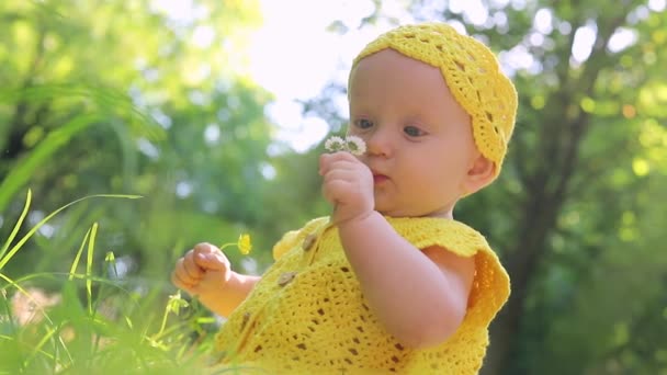 Маленькая Милая Счастливая Девочка Сидит Зеленой Траве Солнечный Летний День — стоковое видео