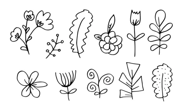 Kézzel Rajzolt Virágképek Gyűjteménye Mint Például Harangvirág Krizantém Napraforgó Pamutvirág — Stock Vector