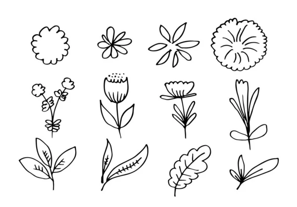 Une Collection Images Fleurs Dessinées Main Telles Que Des Clochettes — Image vectorielle