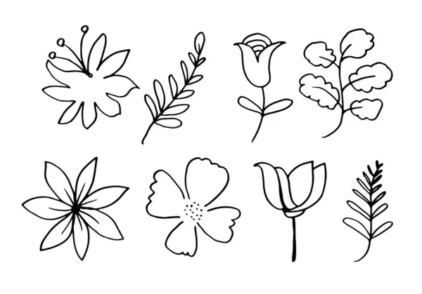 Een Verzameling Van Met Hand Getekende Bloemenbeelden Zoals Klokbloemen Chrysanten — Stockvector