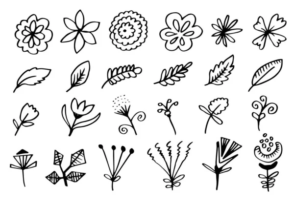 Une Collection Images Fleurs Dessinées Main Telles Que Des Clochettes — Image vectorielle