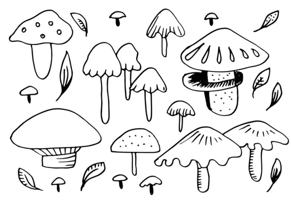 Vector Doodle Pilz Auf Weißem Hintergrund Illustration Von Gesunden Biolebensmitteln — Stockvektor