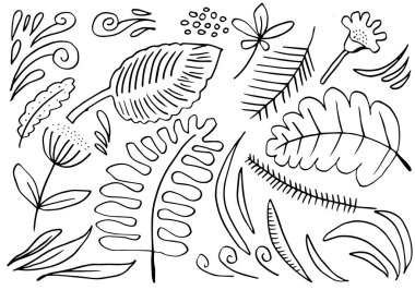 a collection of hand-drawn flower images such as bell flower, chrysanthemums, sunflowers, cotton flowers, and tropical leaves.