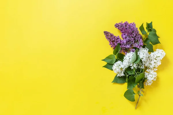 Бузкові Білі Квіти Жовтому Тлі Копіювати Плоский Простір — стокове фото