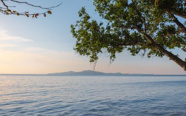 Güneşin doğuşunda ağacın altında sakin bir deniz kenarında, seyahat ederek ve rahatlatıcı bir konsept ile rahatlamak.
