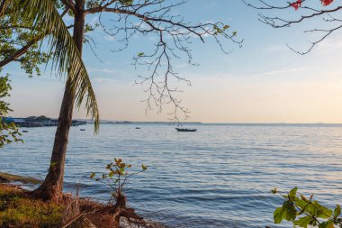 Güneşin doğuşunda ağacın altında sakin bir deniz kenarında, seyahat ederek ve rahatlatıcı bir konsept ile rahatlamak.