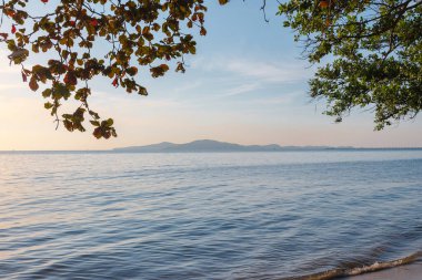 Güneşin doğuşunda ağacın altında sakin bir deniz kenarında, seyahat ederek ve rahatlatıcı bir konsept ile rahatlamak.
