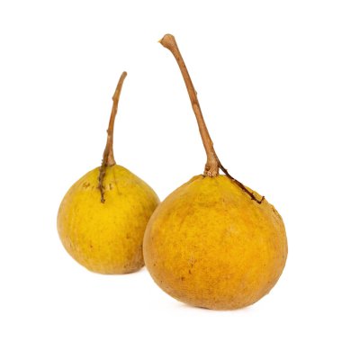 Santol or wild mangosteen the tropical Thai fruit isolated on white background