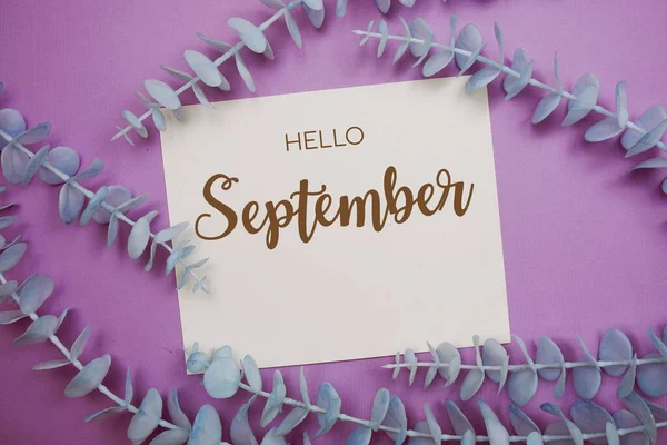 Hallo September Typografie Tekst Papier Kaart Versieren Met Eucalyptus Paarse — Stockfoto