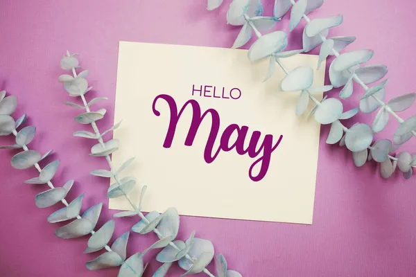 こんにちは5月タイポグラフィのテキスト上の紙カード装飾上のユーカリで紫色の背景 — ストック写真